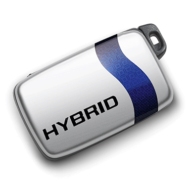 accessory image