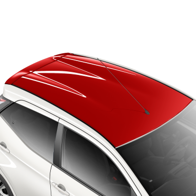 accessory image